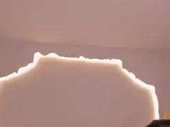 Amateur Live Sex of PaulinaSantos