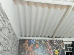 Amateur Live Sex Cam of Zarek_Orion