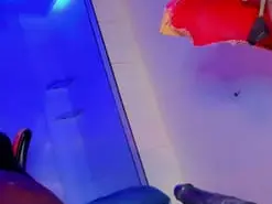 Amateur Watch Live Sex Cams of nicol_gill_