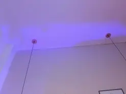 Amateur Live Sex Cam of EmmaClarck
