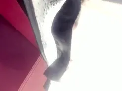 Amateur Live Sex of AlmaStone