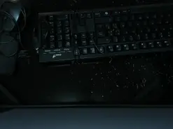 Amateur Nude Webcam of BellaCarteer