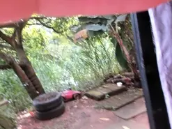 Amateur Adult Webcams of venusandzeus