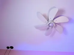 Amateur Adult Webcam of LilithEsme