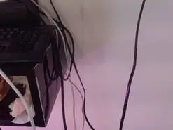 Amateur Live Porn of sarayandcamilo