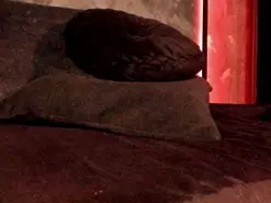 Amateur Free Porn Cam of Kira_Vex