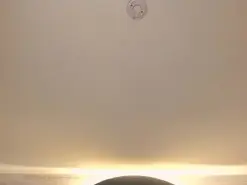 Amateur Free Live Porn of AmyRosse
