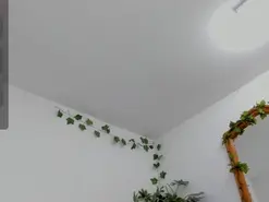 Amateur Private Sex Chat of MarieeTaylor