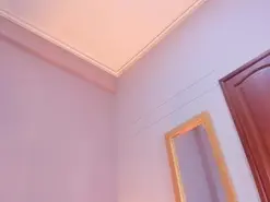 Amateur Sex Cam of LilaRoss