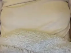 Amateur Sex Chat of LittleLolita