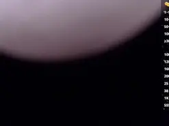 Amateur Nude Webcam of taniaqueen19