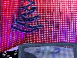 Amateur Adult Webcams of salome__sweett