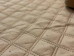 Amateur Sex Cam of SailorCherry