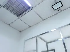 Amateur Free Live Porn of ZoeSwam