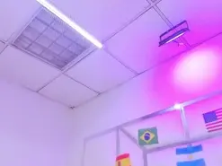 Amateur Live Sex of ZoeSwam