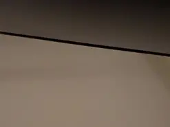 Amateur Sex Chat of Tachala_