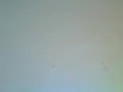 Amateur Live Porn of carol_blonde