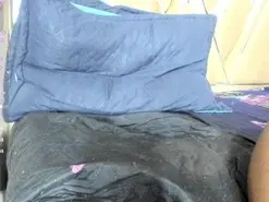 Amateur Best live sex cam show of anisha_zambra