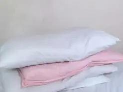 Amateur Free Porn Cam of Zylith