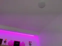 Amateur Free Porn Cam of mila_quinn