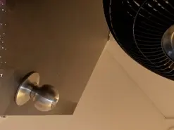 Amateur Sex Cam of FaloonRoussel