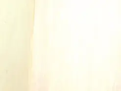 Amateur Watch Live Sex Cams of cutekairi