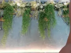 Amateur Best live sex cam show of Lana_lann