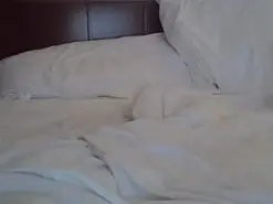 Amateur Best Webcam of CeciPorny