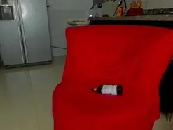 Amateur Live Porn of Fox_couple