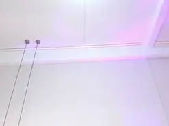 Amateur Live Sex of JupiterFox