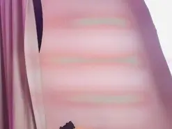 Amateur Best Webcam of JupiterFox