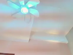 Amateur Live Sex of JupiterFox