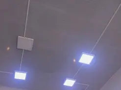 Amateur Live Sex Cam of LissyAndrade