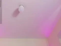 Amateur Live Sex of alexandra_venus