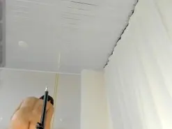 Amateur Adult Webcam of Heicel-