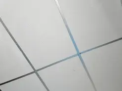 Amateur Free Live Porn of rubyht