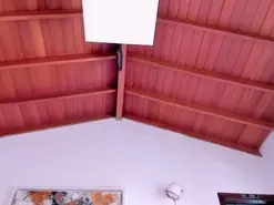 Amateur Live Porn of AllyJensen