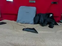 Amateur Sex Cam of DafneBela