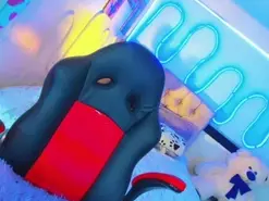 Amateur Adult Webcam of jessica_smith_1