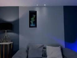 Amateur Live Sex of MayaMoretti