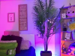 Amateur Free Live Porn of _dakotaa_