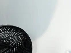 Amateur Watch Live Sex Cams of TessaMonroe