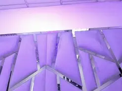 Amateur Live Sex of Vanelin18