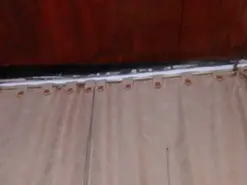 Amateur Live Sex of DaraSweet