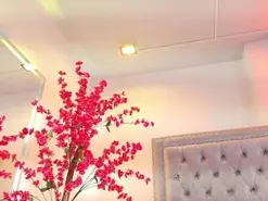 Amateur Free Porn Cam of Leia_laurent