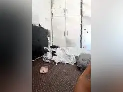 Amateur Sex Chat of julichikita