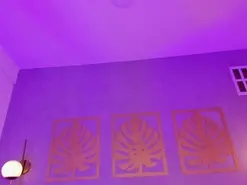 Amateur Sex Cam of majo_rose