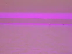 Amateur Adult Webcams of CorinneRusso