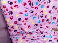 Amateur Sex Chat of alysrousmar