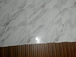 Amateur Live Porn of EstefaniaRobles